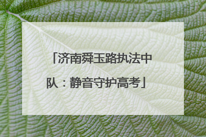 济南舜玉路执法中队：静音守护高考