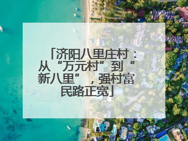 济阳八里庄村：从“万元村”到“新八里”，强村富民路正宽
