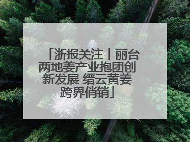 浙报关注丨丽台两地姜产业抱团创新发展 缙云黄姜跨界俏销