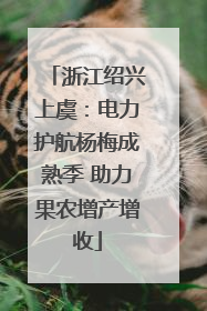 浙江绍兴上虞：电力护航杨梅成熟季 助力果农增产增收
