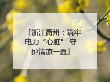 浙江衢州：筑牢电力“心脏” 守护清凉一夏