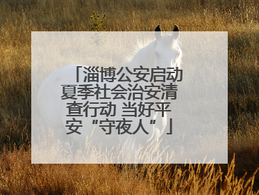 淄博公安启动夏季社会治安清查行动 当好平安“守夜人”