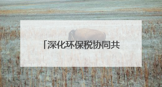 深化环保税协同共治 推进绿色高质量发展——张家界市税务局、市生态环境局签署合作备忘录