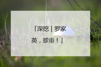 深挖｜罗家英，珍重！