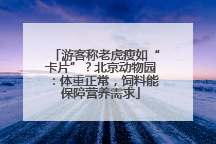 游客称老虎瘦如“卡片”？北京动物园：体重正常，饲料能保障营养需求