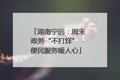 湖南宁远：周末政务“不打烊” 便民服务暖人心