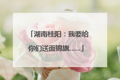湖南桂阳：我要给你们送面锦旗……