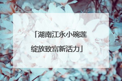 湖南江永小碗莲绽放致富新活力