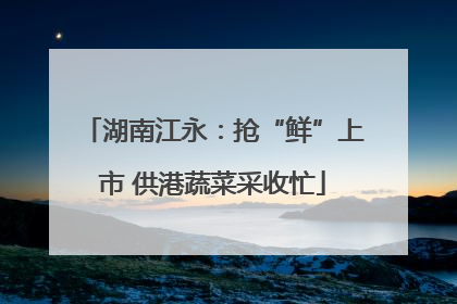湖南江永：抢“鲜”上市 供港蔬菜采收忙