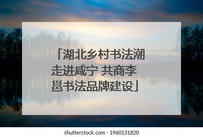 湖北乡村书法潮走进咸宁 共商李邕书法品牌建设
