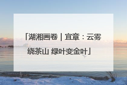 湖湘画卷｜宜章：云雾绕茶山 绿叶变金叶