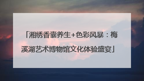 湘绣香囊养生+色彩风暴：梅溪湖艺术博物馆文化体验盛宴