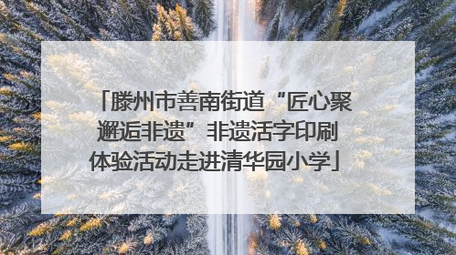 滕州市善南街道“匠心聚 邂逅非遗”非遗活字印刷体验活动走进清华园小学