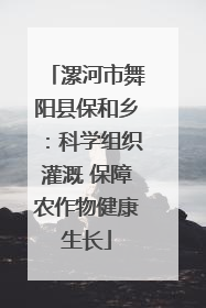 漯河市舞阳县保和乡：科学组织灌溉 保障农作物健康生长