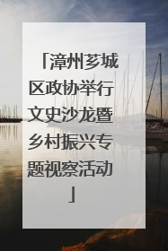 漳州芗城区政协举行文史沙龙暨乡村振兴专题视察活动