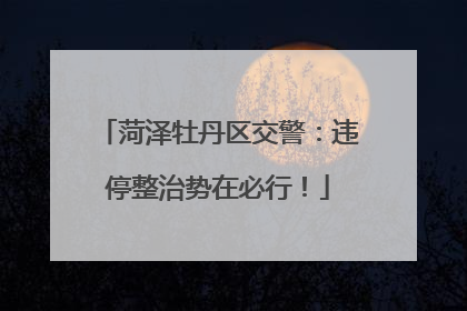 菏泽牡丹区交警：违停整治势在必行！