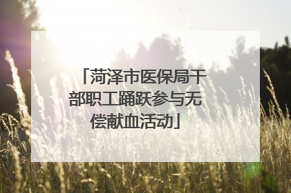 菏泽市医保局干部职工踊跃参与无偿献血活动
