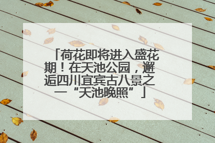 荷花即将进入盛花期！在天池公园，邂逅四川宜宾古八景之一“天池晚照”