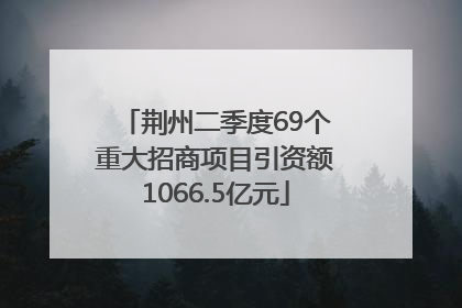 荆州二季度69个重大招商项目引资额1066.5亿元