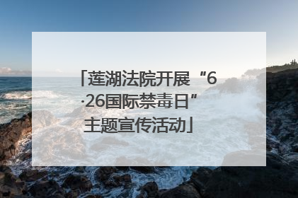 莲湖法院开展“6·26国际禁毒日”主题宣传活动