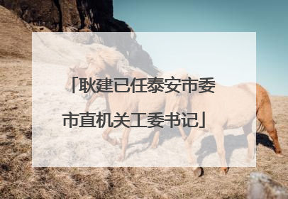 耿建已任泰安市委市直机关工委书记