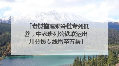 老挝榴莲乘冷链专列抵蓉，中老班列公铁联运出川分拨专线增至五条