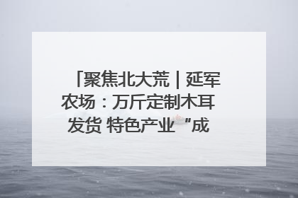 聚焦北大荒｜延军农场：万斤定制木耳发货 特色产业“成绩单”亮眼
