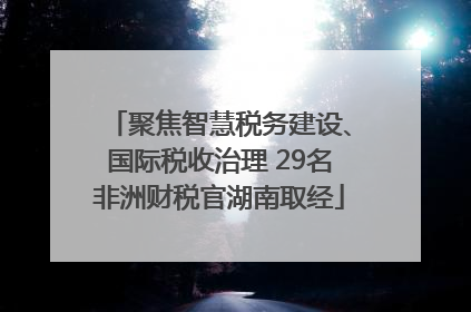 聚焦智慧税务建设、国际税收治理 29名非洲财税官湖南取经