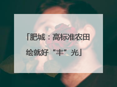 肥城：高标准农田绘就好“丰”光