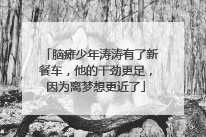 脑瘫少年涛涛有了新餐车，他的干劲更足，因为离梦想更近了