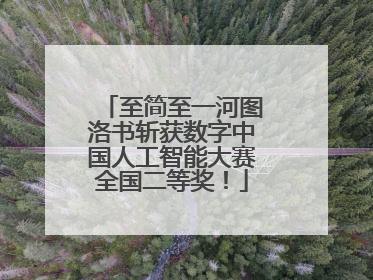 至简至一河图洛书斩获数字中国人工智能大赛全国二等奖！
