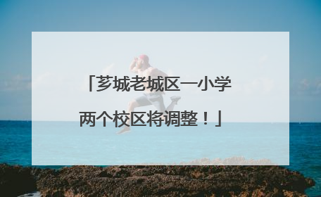 芗城老城区一小学两个校区将调整！