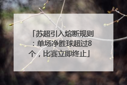 苏超引入熔断规则：单场净胜球超过8个，比赛立即终止