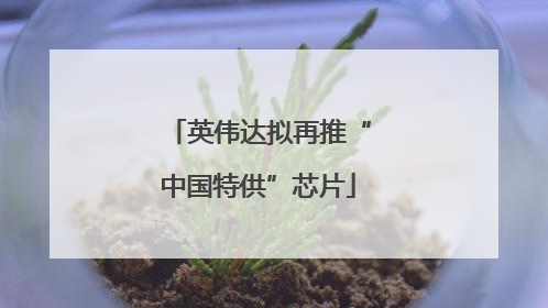 英伟达拟再推“中国特供”芯片