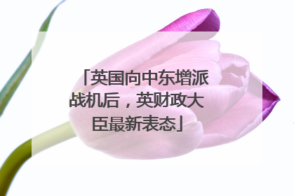 英国向中东增派战机后，英财政大臣最新表态