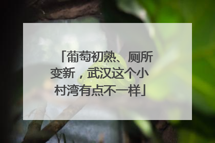 葡萄初熟、厕所变新，武汉这个小村湾有点不一样