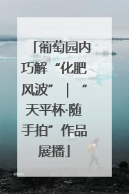 葡萄园内巧解“化肥风波”｜“天平杯·随手拍”作品展播