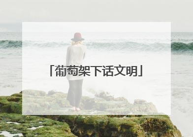 葡萄架下话文明