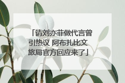 请刘亦菲做代言曾引热议 阿布扎比文旅局官方回应来了
