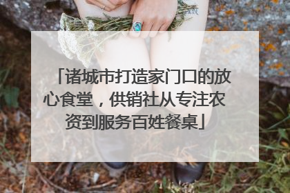 诸城市打造家门口的放心食堂，供销社从专注农资到服务百姓餐桌