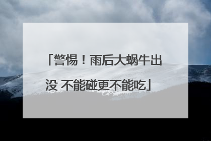 警惕！雨后大蜗牛出没 不能碰更不能吃
