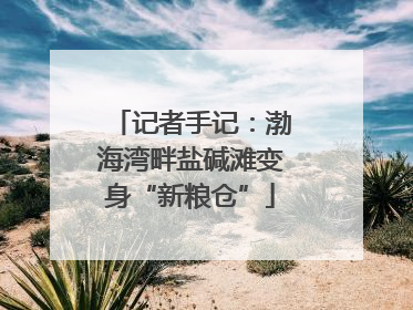 记者手记：渤海湾畔盐碱滩变身“新粮仓”