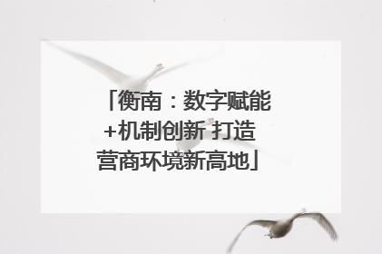 衡南：数字赋能+机制创新 打造营商环境新高地