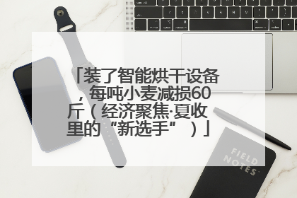 装了智能烘干设备，每吨小麦减损60斤（经济聚焦·夏收里的“新选手”）