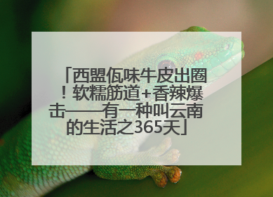 西盟佤味牛皮出圈！软糯筋道+香辣爆击——有一种叫云南的生活之365天