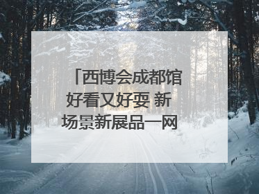 西博会成都馆好看又好耍 新场景新展品一网打尽“成都智造”｜西博视界