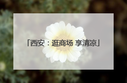 西安：逛商场 享清凉