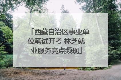 西藏自治区事业单位笔试开考 林芝就业服务亮点频现