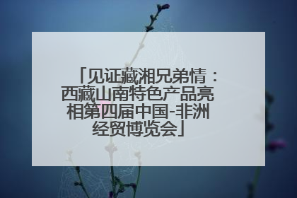 见证藏湘兄弟情：西藏山南特色产品亮相第四届中国-非洲经贸博览会