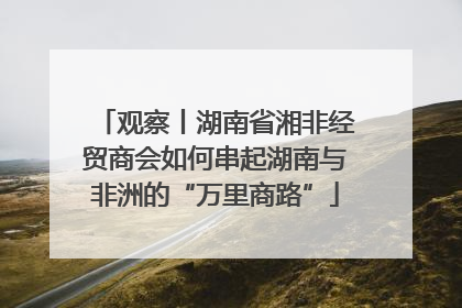 观察丨湖南省湘非经贸商会如何串起湖南与非洲的“万里商路”